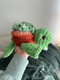 Image 2 of Crochet Succulent Turtle 