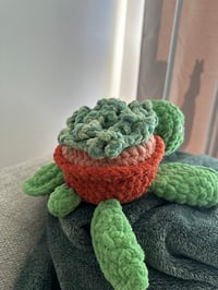 Image 4 of Crochet Succulent Turtle 