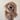 NEW! The DOG Critter Puppet in Taupe