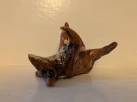 Image 5 of Rolling fox 