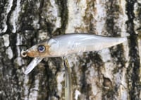 Image 1 of Custom Airbrushed Jerkbait TA 110 1216