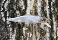 Image 2 of Custom Airbrushed Jerkbait TA 110 1216
