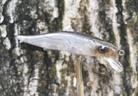 Image 3 of Custom Airbrushed Jerkbait TA 110 1216