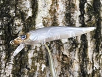 Image 4 of Custom Airbrushed Jerkbait TA 110 1216
