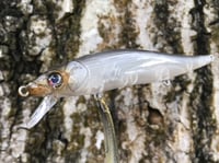 Image 5 of Custom Airbrushed Jerkbait TA 110 1216