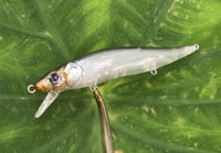 Image 6 of Custom Airbrushed Jerkbait TA 110 1216