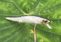 Image 7 of Custom Airbrushed Jerkbait TA 110 1216