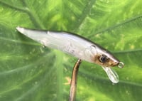Image 8 of Custom Airbrushed Jerkbait TA 110 1216