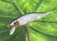 Image 9 of Custom Airbrushed Jerkbait TA 110 1216