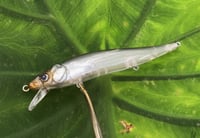 Image 10 of Custom Airbrushed Jerkbait TA 110 1216