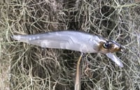 Image 11 of Custom Airbrushed Jerkbait TA 110 1216