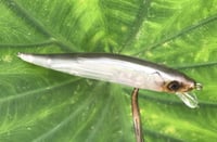 Image 12 of Custom Airbrushed Jerkbait TA 110 1216