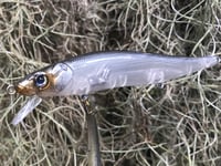 Image 13 of Custom Airbrushed Jerkbait TA 110 1216