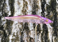 Image 3 of Custom Airbrushed Jerkbait TA 110 4937