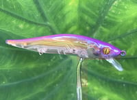 Image 5 of Custom Airbrushed Jerkbait TA 110 4937
