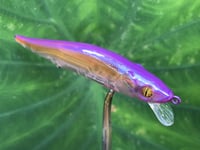 Image 8 of Custom Airbrushed Jerkbait TA 110 4937