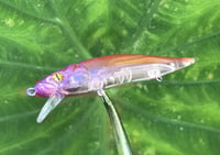 Image 9 of Custom Airbrushed Jerkbait TA 110 4937