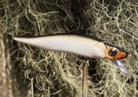 Image 1 of Custom Airbrushed Jerkbait TA 110 6959