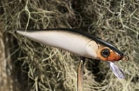 Image 2 of Custom Airbrushed Jerkbait TA 110 6959