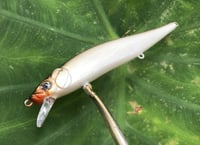 Image 4 of Custom Airbrushed Jerkbait TA 110 6959