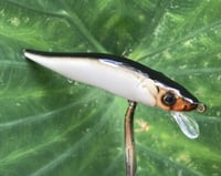 Image 5 of Custom Airbrushed Jerkbait TA 110 6959