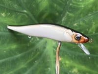 Image 6 of Custom Airbrushed Jerkbait TA 110 6959