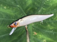 Image 7 of Custom Airbrushed Jerkbait TA 110 6959