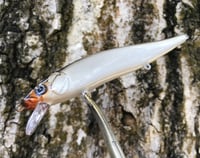 Image 8 of Custom Airbrushed Jerkbait TA 110 6959