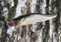 Image 9 of Custom Airbrushed Jerkbait TA 110 6959