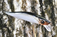 Image 10 of Custom Airbrushed Jerkbait TA 110 6959