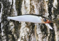 Image 11 of Custom Airbrushed Jerkbait TA 110 6959