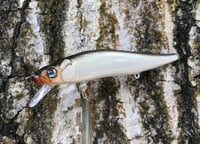Image 12 of Custom Airbrushed Jerkbait TA 110 6959