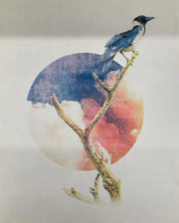 Image 2 of King Crow