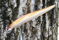 Image 4 of Custom Airbrushed Jerkbait TA 110 6078