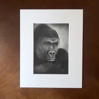 Image 1 of “keeper of the jungle” mini matted fine art print 