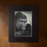 Image 2 of “keeper of the jungle” mini matted fine art print 