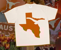 Image 2 of Longhorn Nation