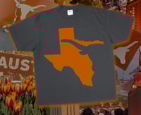 Image 5 of Longhorn Nation