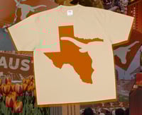Image 1 of Longhorn Nation