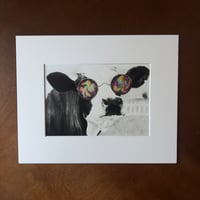 Image 1 of “Funky cow”  mini matted fine art print 