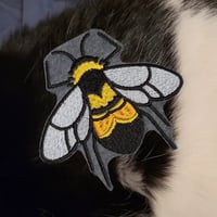 Image 1 of Native Midwest Pollinator Set