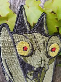 Image 2 of Praying Mantis