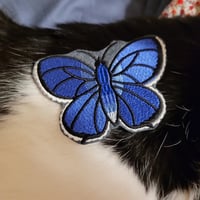 Image 3 of Native Midwest Pollinator Set
