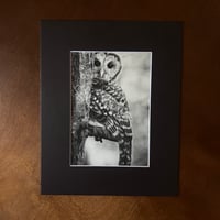 Image 2 of “Peek-a-hoo” mini matted fine art print 