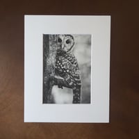 Image 1 of “Peek-a-hoo” mini matted fine art print 