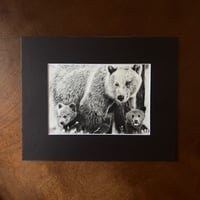 Image 2 of “Momma bear knows best” mini matted fine art print 