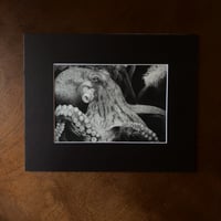 Image 2 of “Mastermind of the deep”  mini matted fine art print 