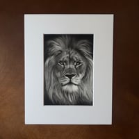 Image 1 of “Silent majesty” mini matted fine art print 