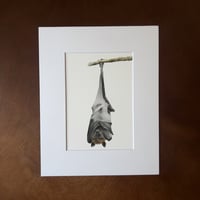 Image 1 of “Suspended calm” Mini matted fine art print 