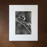 Image 1 of “Morning gems” mini matted fine art prints 